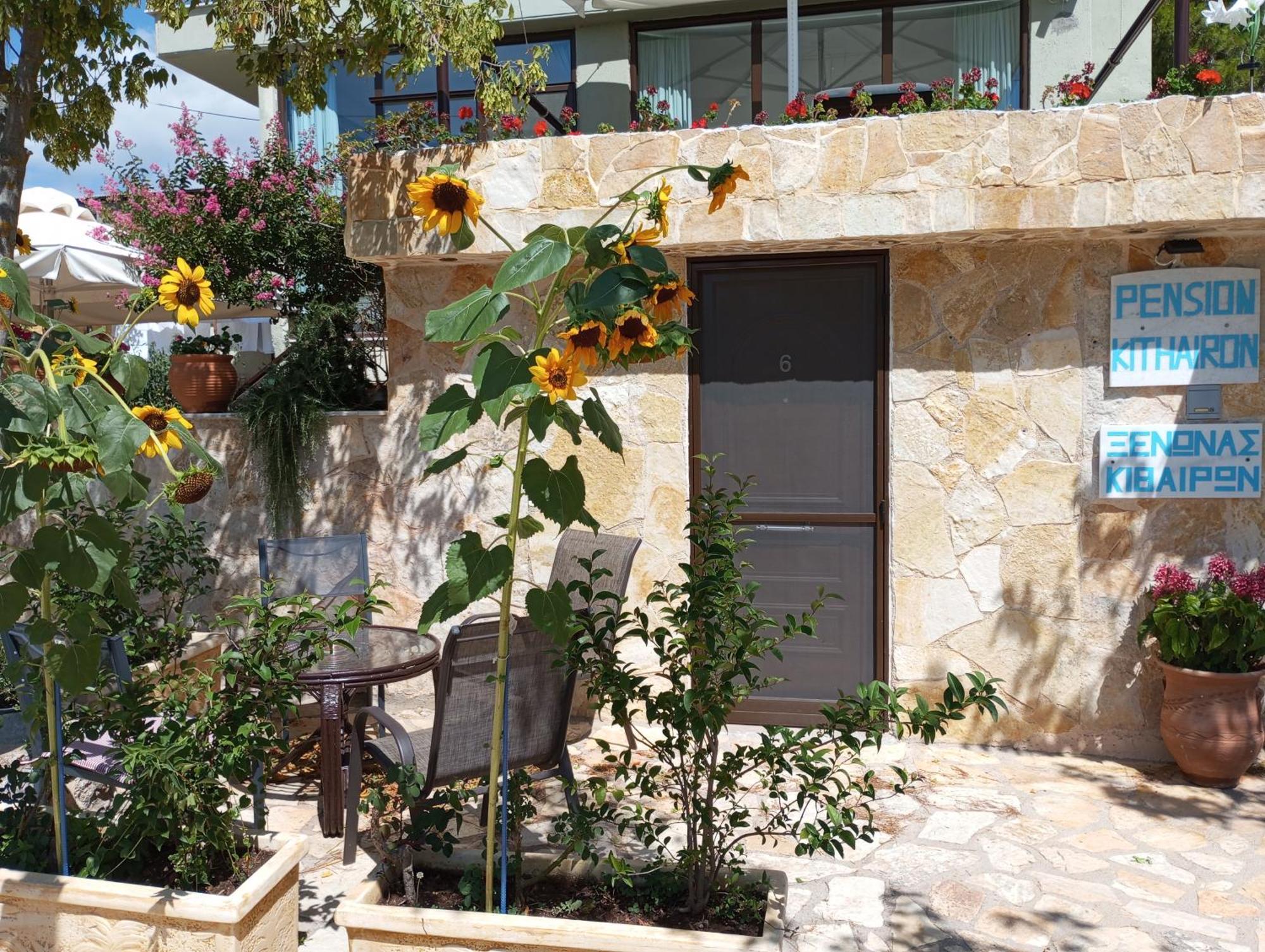 Xenonas Κithαiron Vília Exterior foto
